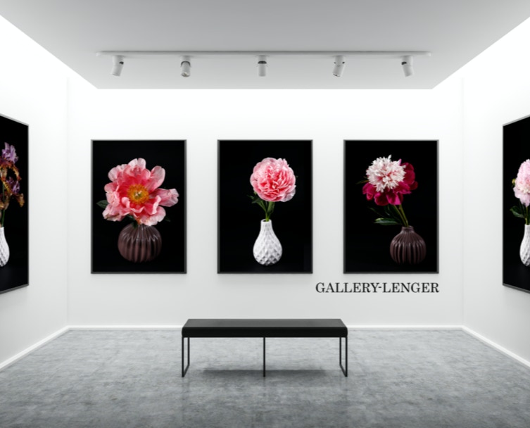 Fineaart, Print, Onlineshop, 